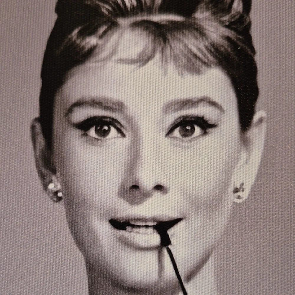 Audrey Hepburn Vibrant Creations Canvas Art